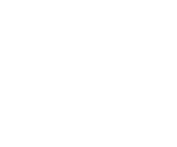 New York Life logo